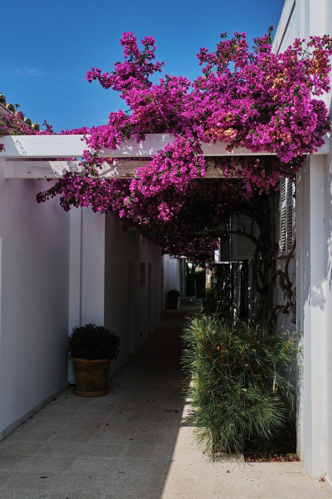 Prinsotel Mal Pas - Adults Only Alcudia  Ngoại thất bức ảnh